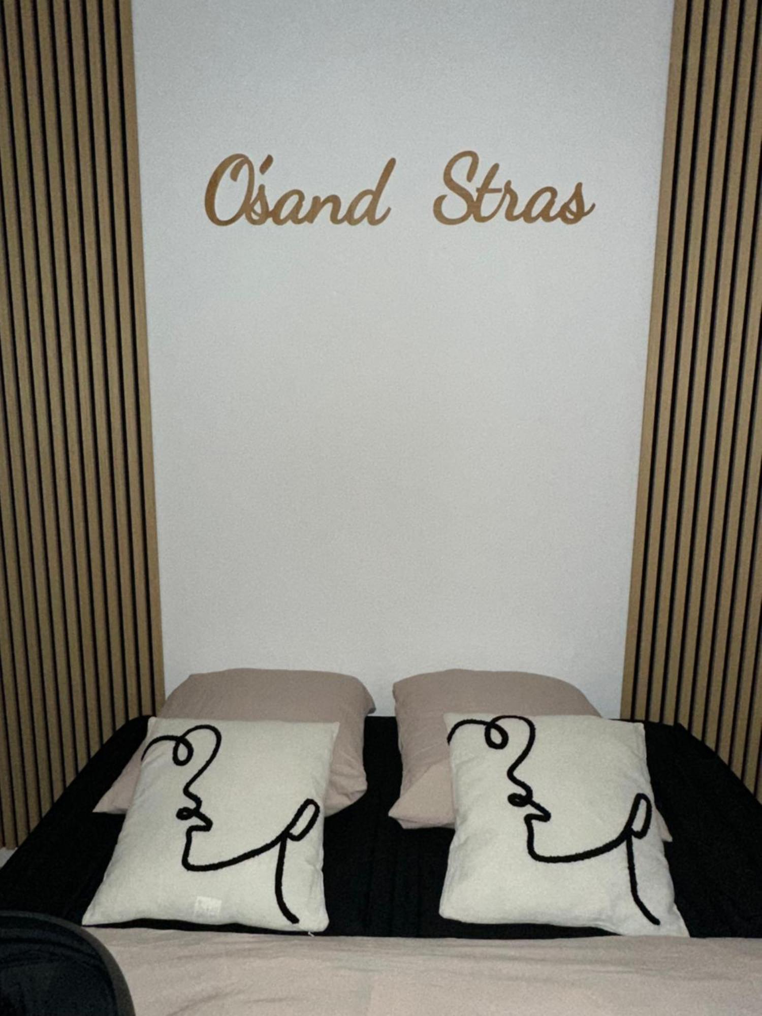 O Sand Stras Studio 25M Carre Strasbourg Eksteriør billede