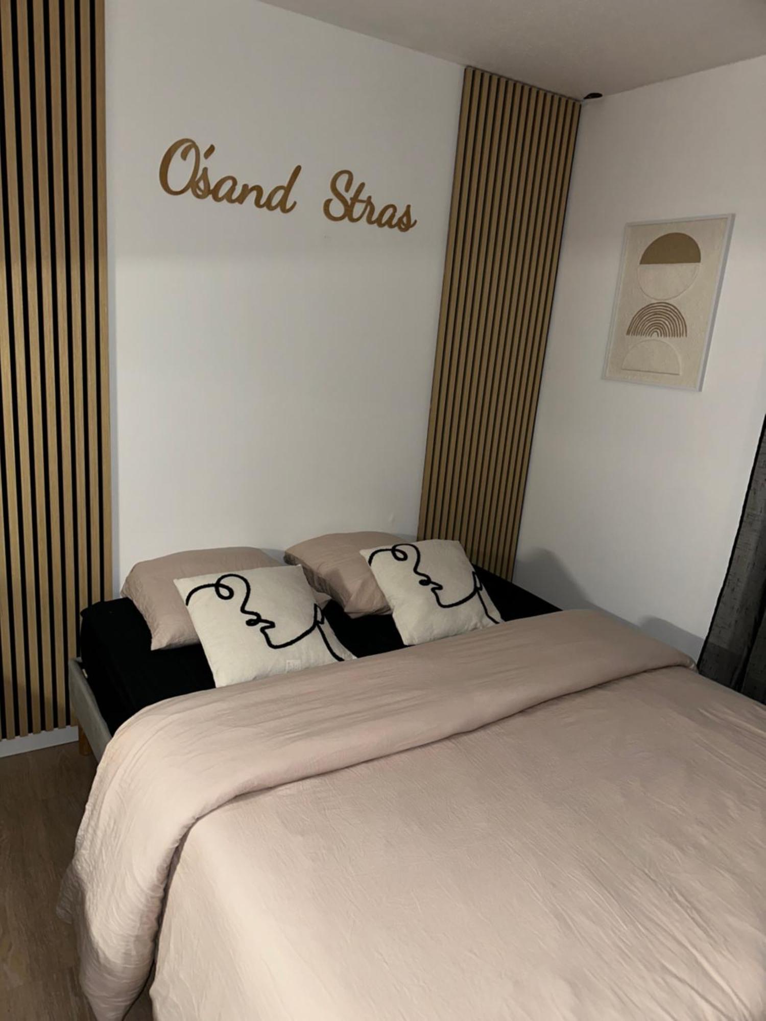 O Sand Stras Studio 25M Carre Strasbourg Eksteriør billede